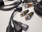 PROSPEED MOTEC PLUG AND PLAY FOR 07-20 TUNDRA/SEQUOIA
