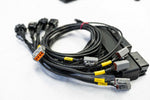 PROSPEED Motec PNP (S197 GT500 Mustang)