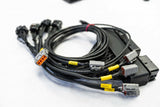 PROSPEED Motec PNP (S197 GT500 Mustang)